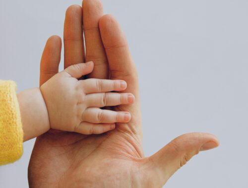 Crop anonymous baby in warm wear holding hand on palm of crop parent while standing against white background in studio